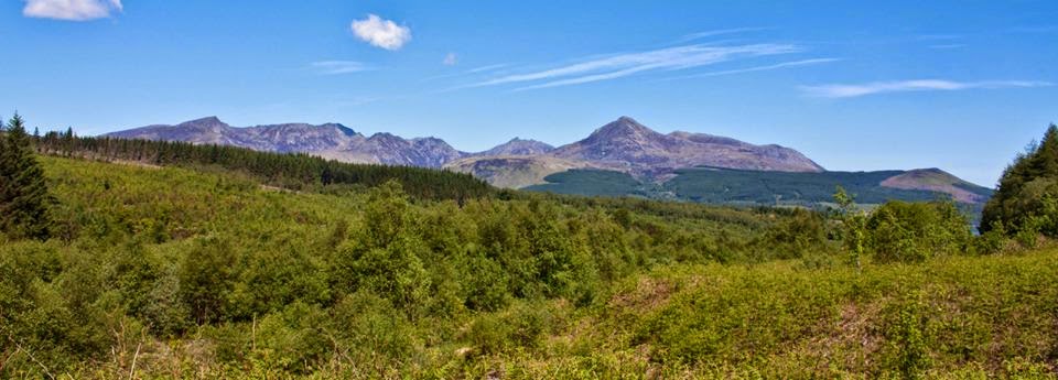 1601267_205299422996946_1432566812_n