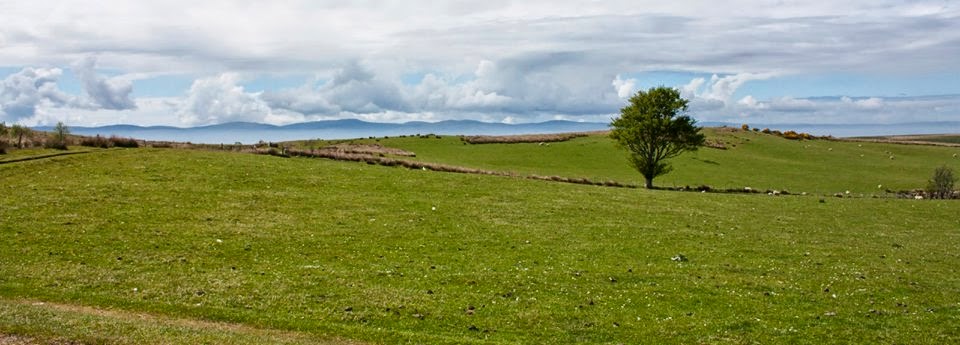 1604965_205298839663671_103979903_n