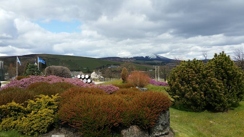 13138782_485086758351543_3110104438696310107_n