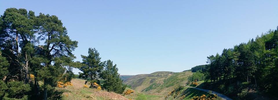 fettercairn-scotland-view