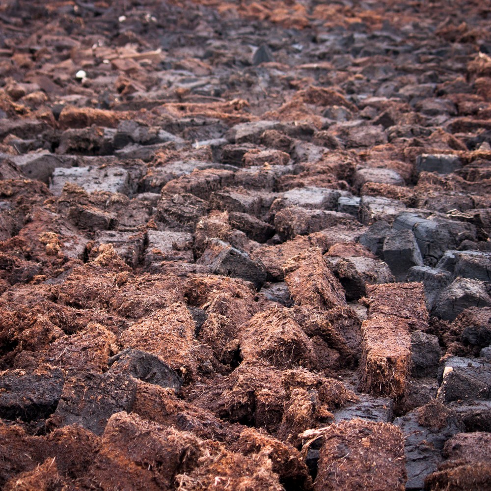 5-highland-park-distillery-orkney-scotland-whiskyspeller-2016-47