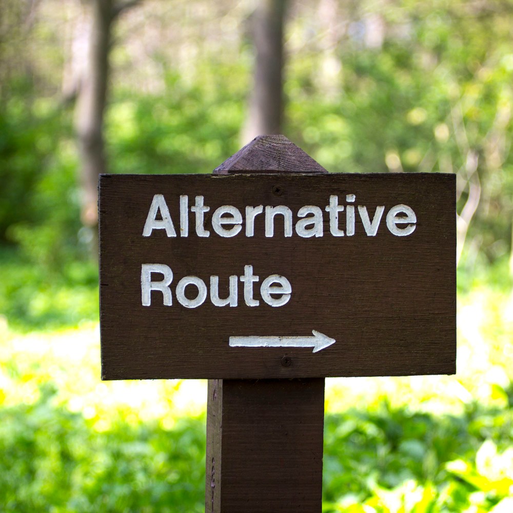 6-kingsbarns-wood-walk-st-andrews-fife-scotland-whiskyspeller-2016-5