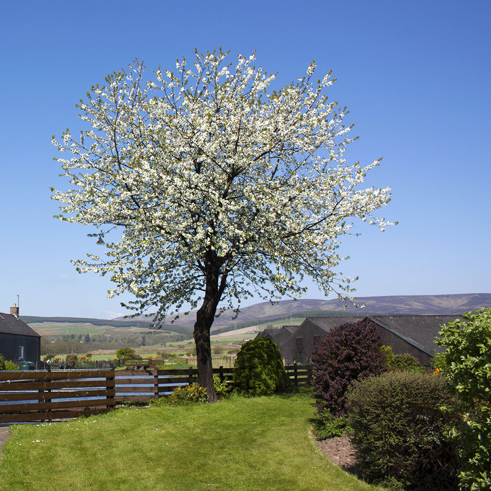 10-fettercairn-distillery-scotland-whiskyspeller-scotland-2016-0-13