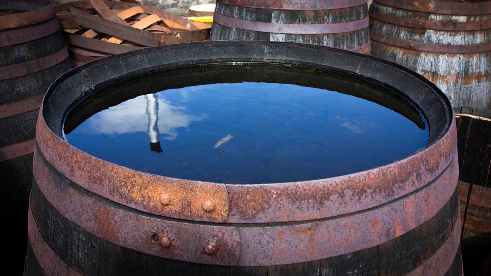 dalmore-distillery-scotland-whiskyspeller-scotland-2016-12-1